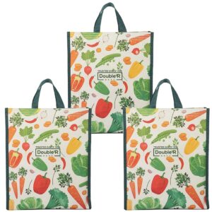 DOUBLE R BAGS Eco-Friendly, Reusable & Multi-Purpose Cotton Canvas Bag With Reinforced Handles For Kitchen Essentials Grocery, Fruits And Vegetables