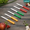 1776056637_Godrej-Cartini-Handy-Knife-Set-for-Kitchen-Catering.jpg Godrej Cartini Handy Knife Set for Kitchen & Catering