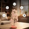 Rose Quartz Crystal Orgonite Tree for Home Decor | Healing Crystal Tree for Love, Positive Energy, Vastu & Feng Shui | Rose Quartz Money Tree for Bedroom, Meditation & Spiritual Gift