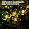 1776072587_Gigawatts-30-LED-Solar-Cherry-Blossom-String-Light-Solar-Garden-Light-Outdoor-Decorative-Flower-Lights-for-Home-Garden-Yard-Patio-Driveway-Decor-Pack-of-1-Warm-White.jpg Gigawatts 30 LED Solar Cherry Blossom String Light | Solar Garden Light, Outdoor Decorative Flower Lights for Home, Garden, Yard, Patio, Driveway Décor (Pack of 1, Warm White)