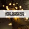 1776072589_Gigawatts-30-LED-Solar-Cherry-Blossom-String-Light-Solar-Garden-Light-Outdoor-Decorative-Flower-Lights-for-Home-Garden-Yard-Patio-Driveway-Decor-Pack-of-1-Warm-White.jpg Gigawatts 30 LED Solar Cherry Blossom String Light | Solar Garden Light, Outdoor Decorative Flower Lights for Home, Garden, Yard, Patio, Driveway Décor (Pack of 1, Warm White)
