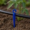 1776083559_Pack-of-500-Pieces-16mm-Lateral-Hold-stakes-16-OD-UV-Stabilized-Drip-Irrigation-Hook–Blue-Plastic-C-Clip-Stake-for-Pipe-Support-Greenhouse-Nursery-Use-Drip-Irrigation-Hook-Heavy-quality.jpg Pack of 500 Pieces | 16mm Lateral Hold stakes 16 OD| UV-Stabilized Drip Irrigation Hook–Blue Plastic 'C' Clip Stake for Pipe Support, Greenhouse & Nursery Use| Drip Irrigation Hook| Heavy quality