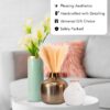 1776095551_Nostrae-by-Ekhasa-Unbreakable-Metallic-Gold-Flower-Vase-for-Home-Decor-Aesthetic-Flower-Vase-Gift-for-Weddings-Housewarmings-Parties-Decorative-Metal-Vase-for-Living-Room-Dining-Table-Office.jpg Nostrae by Ekhasa Unbreakable Metallic Gold Flower Vase for Home Decor | Aesthetic Flower Vase Gift for Weddings, Housewarmings, Parties | Decorative Metal Vase for Living Room, Dining Table, Office