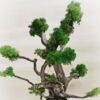 1776138629_Artificial-Green-Grass-Powder-for-Craft-School-Project-EasterChristmas-Miniature-Tree-Snow-Micro-Garden-Landscaping-Decoration-Craft-DIY-Accessories-50-Grams.jpg Artificial Green Grass Powder for Craft, School Project, Easter/Christmas Miniature Tree Snow Micro Garden Landscaping Decoration Craft DIY Accessories - 50 Grams