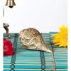 1776304244_Two-Moustaches-100-Pure-Brass-Ganesha-Carving-Brass-Shankh-Showpiece-Attractive-Brass-Conch-for-TempleHome-Shankh-for-Pooja-Weight-430-Grams-Mandir-Decorations-Items-Standard-Pack-of-1.jpg Two Moustaches 100% Pure Brass Ganesha Carving Brass Shankh Showpiece, Attractive Brass Conch for Temple/Home, Shankh for Pooja, Weight - 430 Grams, Mandir Decorations Items, Standard, Pack of 1