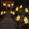1776314379_CBK-Bird-Garden-Solar-Lights-Outdoor-Adorable-LED-Bird-Decorative-Waterproof-Garden-Stake-Lights-Lawn-Lamp-Light-for-Yard-Balcony-Patio-and-Garden-Lighting.jpg CBK Bird Garden Solar Lights Outdoor Adorable LED Bird Decorative Waterproof Garden Stake Lights, Lawn Lamp Light for Yard, Balcony, Patio, and Garden Lighting