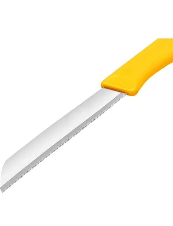 1776323748_Stainless-Steel-Kitchen-Knife-Set-of-10-Pcs-with-Multicolor-Handles-Sharp-Edge-Knives-for-Vegetables-Fruits-Cutting-Multipurpose-Kitchen-Knife-for-Home-Kitchen-Hotel-Restaurant-Use.jpg Stainless Steel Kitchen Knife Set of 10 Pcs with Multicolor Handles, Sharp Edge Knives for Vegetables, & Fruits Cutting, Multipurpose Kitchen Knife for Home, Kitchen & Hotel Restaurant Use