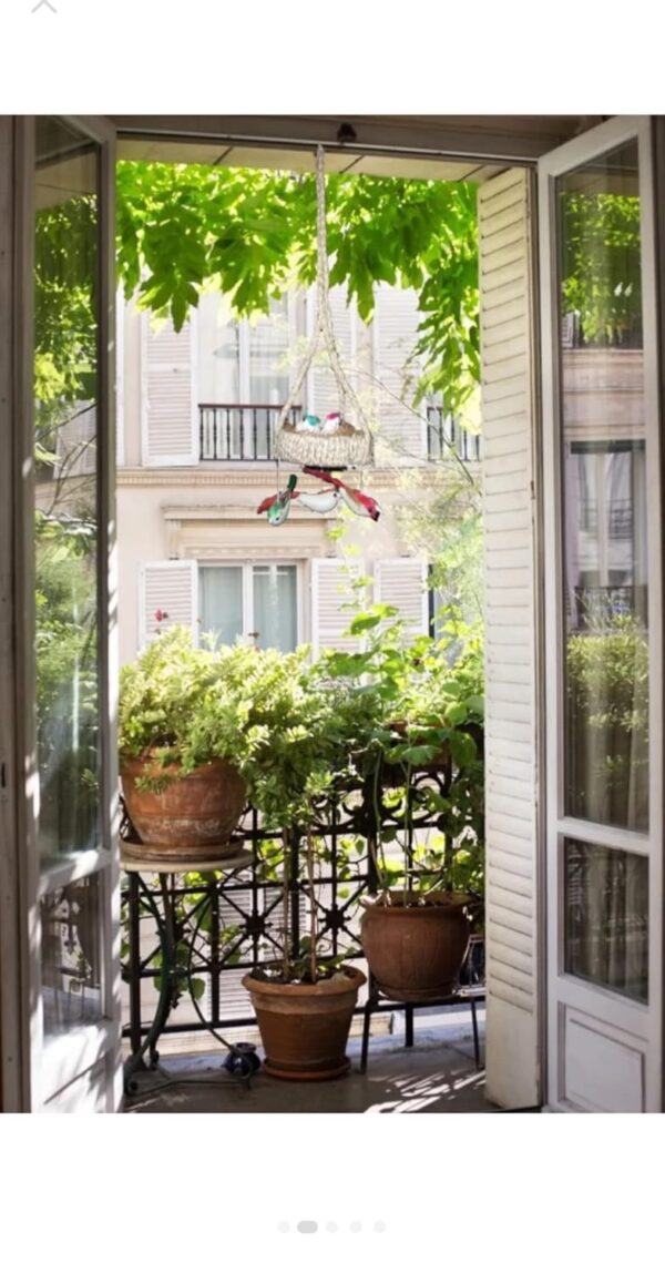 1776689870_Rs-Store-Artificial-Hanging-Garden-Decor-Nest-with-5-Birds-and-Egg-for-Home-GardenLiving-RoomOfficeLawn-Decoration-Party-Accessories-Multicolour-Gift-Resin-Pack-of-2.jpg Rs Store Artificial Hanging Garden Decor Nest with 5 Birds and Egg for Home Garden/Living Room/Office/Lawn Decoration Party Accessories (Multicolour) Gift, Resin (Pack of 2)