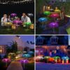 JELLYFISH Solar Light,7 Colour LED Charging Waterproof String &,Fountaine Solar Light Fairy StakesLight, 2 Lighting Modes For Outdoor Yard Pathway Patio Garden Lawn Decorations (Set of-2)