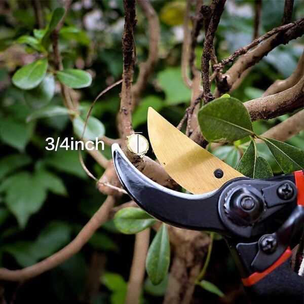 1776730212_Boniry-8-Inch-Heavy-Duty-Plant-Cutter-For-Home-Garden-Scissors-Plant-Branch-Cutter-For-Tree-Garden-Tools-For-Home-Gardening-Scissors-Prunning-Branch-Cutter-Garden-Cutter.jpg Boniry 8 Inch Heavy Duty Plant Cutter For Home Garden Scissors | Plant Branch Cutter For Tree | Garden Tools For Home Gardening Scissors | Prunning Branch Cutter (Garden Cutter)