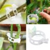 1776788859_25-Pcs-Plant-Support-Garden-Clips-Garden-Trellis-Clips-Tomato-Trellis-Clips-for-Vine-Vegetables-Beans-Fruits-Flower-to-Grow-Upright-and-Healthier-Pack-of-25.jpg 25 Pcs Plant Support Garden Clips, Garden Trellis Clips, Tomato Trellis Clips for Vine, Vegetables, Beans, Fruits, Flower to Grow Upright and Healthier | Pack of 25