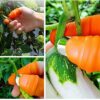 1 Thumb Knife 1 Finger Cutter Kitchen Knife Set for Kitchen Use Garlic Peeler for Kitchen Finger,Orange