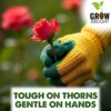 1776905799_Gardening-Tools-Kit-3-Pcs-Garden-Pruner-Gardening-Gloves-Green-Flower-Seeds-Packet-Durable-Gardening-Tools-Home-Gardening-Tool-Kit-Terrace-Gardening-Accessories.jpg Gardening Tools Kit-3 Pcs (Garden Pruner, Gardening Gloves Green, Flower Seeds Packet) | Durable Gardening Tools | Home Gardening Tool Kit | Terrace Gardening Accessories
