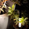 Solar Garden Spotlight Outdoor – Automatic Solar Powered LED Stake Light with Ground Spike, IP65 Waterproof for Plants, Lawn & Pathway