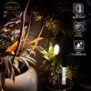 Solar Garden Spotlight Outdoor – Automatic Solar Powered LED Stake Light with Ground Spike, IP65 Waterproof for Plants, Lawn & Pathway