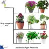 1776944504_Ascension-®-Agro-Drip-Irrigation-Home-Garden-Watering-Plants-Drip-kits-for-25-Plants-ISI-Certified.jpg Ascension ® Agro Drip Irrigation Home Garden Watering Plants Drip kits for 25 Plants ISI Certified
