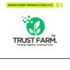 1777128516_16mm-Y-Tee-Connector-for-Drip-Irrigation-kits-Accessories-Online-lateral-pipe-jointer-Home-garden-farm-Pack-OF-25.jpg 16mm Y Tee Connector for Drip Irrigation kits Accessories Online lateral pipe jointer Home garden farm (Pack OF 25)
