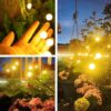 1777253778_2024-New-Upgraded-Solar-Garden-Lights-Outdoor-Waterproof-Firefly-Lights-Outdoor-Swaying-When-Wind-BlowsGarden-Lights-Outdoor-Decorations-for-Yard-Patio-Pathway-Warm-White-pack-6-6-led-bulb.jpg 2024 New Upgraded Solar Garden Lights Outdoor Waterproof, Firefly Lights Outdoor, Swaying When Wind Blows,Garden Lights Outdoor Decorations for Yard Patio Pathway/ Warm White (pack 6, 6 led bulb)