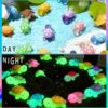 1777334737_Luminous-Resin-Mini-Large-Turtles-–-Adorable-Glow-in-the-Dark-Micro-Figurines-for-Fairy-Garden-Terrarium-Decoration-DIY-Crafts-Dollhouse-Accessories-Creative-Home-Decor-Pack-of-10-large.jpg Luminous Resin Mini Large Turtles – Adorable Glow-in-the-Dark Micro Figurines for Fairy Garden, Terrarium Decoration, DIY Crafts, Dollhouse Accessories & Creative Home Decor Pack of 10 (large)