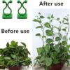 1777494431_Crockett-30-PCS-Green-Plant-Clip-–-Reusable-Plastic-Plant-Climbing-Wall-Clips-Self-Adhesive-Money-Plant-Support-Wall-Vines-Fixture-Hook-Vines-Climbing-Support-Clip-for-Home-Green-30-Clips.jpg Crockett 30 PCS Green Plant Clip – Reusable Plastic Plant Climbing Wall Clips, Self-Adhesive Money Plant Support Wall Vines Fixture Hook, Vines Climbing Support Clip for Home (Green) (30 Clips)