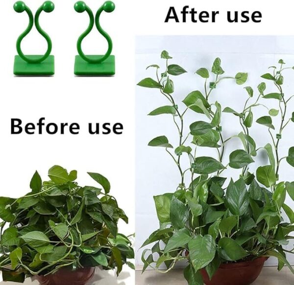 1777494431_Crockett-30-PCS-Green-Plant-Clip-–-Reusable-Plastic-Plant-Climbing-Wall-Clips-Self-Adhesive-Money-Plant-Support-Wall-Vines-Fixture-Hook-Vines-Climbing-Support-Clip-for-Home-Green-30-Clips.jpg Crockett 30 PCS Green Plant Clip – Reusable Plastic Plant Climbing Wall Clips, Self-Adhesive Money Plant Support Wall Vines Fixture Hook, Vines Climbing Support Clip for Home (Green) (30 Clips)
