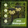 Outdoor Light | Combo Pack of 8 | Solar Powered LED | Soft Ambient Light | Pathway | Outdoor | Garden | Battery Powered | Decoration | Walkways | Driveways | Landscaping.