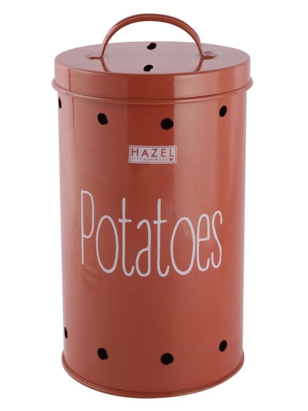 HAZEL Onion Potato Storage Container Set | Kitchen Storage Canisters with Lid | Airtight Leak Proof Steel Jar (Set of 2)