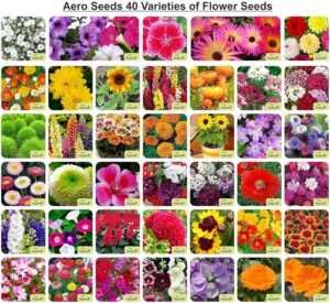Aero Seeds 40 Varieties of Flower Seeds Combo For Your Garden Beautiful Bloom Germination Seeds.