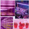 Aluminium LED Grow Lights 2Ft 40W=10W x 4 for Indoor Aluminium LED Grow Lights 2Ft 40W=10W x 4 for Indoor Plants, Full Spectrum (Plug and Play)(Energy efficient) Pack of 4