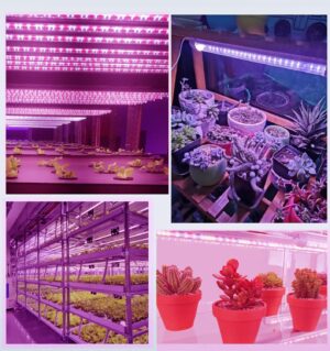 Aluminium LED Grow Lights 2Ft 40W=10W x 4 for Indoor Plants, Full Spectrum (Plug and Play)(Energy efficient) Pack of 4