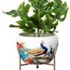 Amazon-Brand-Solimo-Blossom-Flower-Planter-with-Tripod-Stand-Versatile-Indoor-Outdoor-Decor-Secure-Support-for-Pots.jpg Amazon Brand - Solimo Blossom Flower Planter with Tripod Stand | Versatile Indoor & Outdoor Decor | Secure Support for Pots