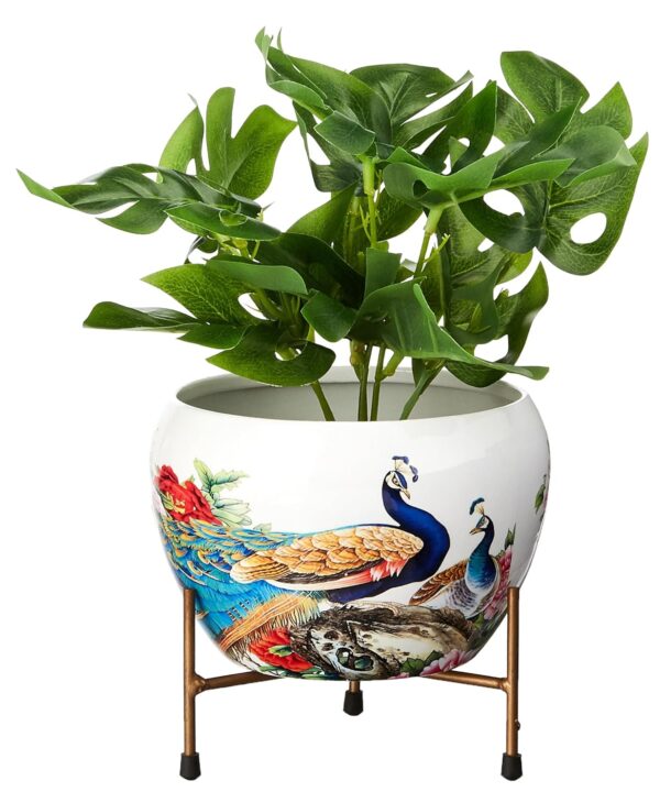 Amazon-Brand-Solimo-Blossom-Flower-Planter-with-Tripod-Stand-Versatile-Indoor-Outdoor-Decor-Secure-Support-for-Pots.jpg Amazon Brand - Solimo Blossom Flower Planter with Tripod Stand | Versatile Indoor & Outdoor Decor | Secure Support for Pots
