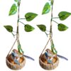 Artificial Decorative Bird with Hanging Nest for Home Decor Garden Artificial Decorative Bird with Hanging Nest for Home Decor Garden Decor with Money Plant (Combo Birds)