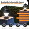 BENE ® Garden Nice Light (Black, 16 cm) - Pack of 6 Pcs.