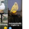 CBK-Bird-Garden-Solar-Lights-Outdoor-Adorable-LED-Bird-Decorative-Waterproof-Garden-Stake-Lights-Lawn-Lamp-Light-for-Yard-Balcony-Patio-and-Garden-Lighting.jpg CBK Bird Garden Solar Lights Outdoor Adorable LED Bird Decorative Waterproof Garden Stake Lights, Lawn Lamp Light for Yard, Balcony, Patio, and Garden Lighting