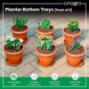 CINAGRO-UV-Treated-6.5-Inch-Round-Bottom-Trays-Pack-of-6-Fits-8-inch-Round-Pots-Gamla-Saucer-Plate-Durable-Planter-Drip-Trays-for-Pots-Round-Water-Collection-Plate-for-Indoor-Outdoor-Plants.jpg CINAGRO UV Treated 6.5 Inch Round Bottom Trays - Pack of 6, Fits 8 inch Round Pots, Gamla Saucer Plate, Durable Planter Drip Trays for Pots, Round Water Collection Plate for Indoor & Outdoor Plants