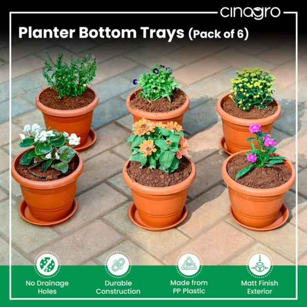 CINAGRO-UV-Treated-6.5-Inch-Round-Bottom-Trays-Pack-of-6-Fits-8-inch-Round-Pots-Gamla-Saucer-Plate-Durable-Planter-Drip-Trays-for-Pots-Round-Water-Collection-Plate-for-Indoor-Outdoor-Plants.jpg CINAGRO UV Treated 6.5 Inch Round Bottom Trays - Pack of 6, Fits 8 inch Round Pots, Gamla Saucer Plate, Durable Planter Drip Trays for Pots, Round Water Collection Plate for Indoor & Outdoor Plants