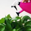Cyrox Watering Gardening Sprinkling Can | Water Spray Bottle Watering Cyrox Watering Gardening Sprinkling Can | Water Spray Bottle Watering Pot Water Trigger Garden Accessory Sprayers Multifunction Watering Can - 1000ML (Multicolor)