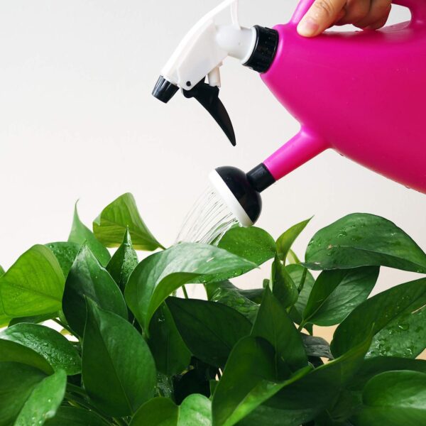 Cyrox Watering Gardening Sprinkling Can | Water Spray Bottle Watering Cyrox Watering Gardening Sprinkling Can | Water Spray Bottle Watering Pot Water Trigger Garden Accessory Sprayers Multifunction Watering Can - 1000ML (Multicolor)