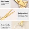ESPERO-Multi-Purpose-Made-In-Japan-Kitchen-Scissors-food-scissorsPremium-Stainless-Steel-Solid-Kitchen-Shears-for-Meat-Seafood-Chicken-Vegetables-Herbs-BBQ-Bottle-Opener-Transparent-White.jpg ESPERO Multi Purpose Made In Japan Kitchen Scissors, food scissors,Premium Stainless Steel Solid Kitchen Shears for Meat, Seafood, Chicken, Vegetables, Herbs, BBQ, Bottle Opener (Transparent White)