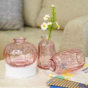 Ekhasa Pink Glass Bud Vases Flower Pots for Home Decoration (Set of 3) | Center Table Mini Decorative Items | Transparent Glass Vase for Water Plants | Glass Planters for Indoor Plants