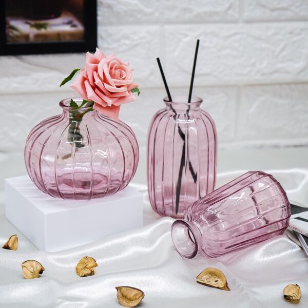 Ekhasa Pink Glass Bud Vases Flower Pots for Home Decoration (Set of 3) | Center Table Mini Decorative Items | Transparent Glass Vase for Water Plants | Glass Planters for Indoor Plants