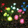 GIGAWATTS-GW-923-Solar-Rose-Lights-2V-Panel-Outdoor-5-LED-5-Flower-Garden-Stake-Lamp-for-Patio-Yard-Pathway-Decoration-Pack-of-1-Multicolour.jpg GIGAWATTS GW-923 Solar Rose Lights 2V Panel Outdoor 5 LED 5 Flower Garden Stake Lamp for Patio Yard Pathway Decoration (Pack of 1, Multicolour)