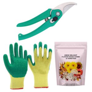 Gardening Tools Kit-3 Pcs (Garden Pruner, Gardening Gloves Green, Flower Gardening Tools Kit-3 Pcs (Garden Pruner, Gardening Gloves Green, Flower Seeds Packet) | Durable Gardening Tools | Home Gardening Tool Kit | Terrace Gardening Accessories