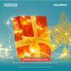 Halonix Bliss Rice Light | Decorative Light | Fairy Light | USB Powered | String Light | Diwali Light | Warm White| Pack 1 |Diwali Lights for Decoration for Home-Plastic,Corded Electric