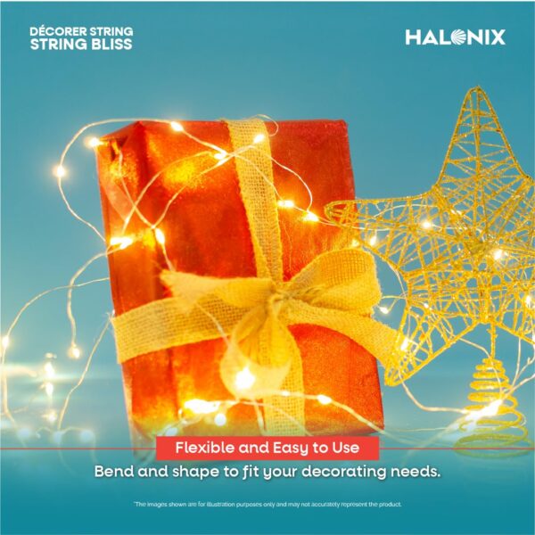 Halonix Bliss Rice Light | Decorative Light | Fairy Light | USB Powered | String Light | Diwali Light | Warm White| Pack 1 |Diwali Lights for Decoration for Home-Plastic,Corded Electric
