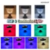 Homehop 10W LED Solar Gate Light for Outdoor Home Garden Main Entrance Compound Wall Pillar Waterproof Lamp Automatic with Remote Control (ABS, RGB, Triangle)