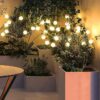 LIGHTNIING HAMMERZ Firefly Garden Lights Outdoor Solar Lights | 8 LED | Starburst Solar Garden Light, Warm Garden Light | Outdoor Decoration | Waterproof | Path Lights for Pots, Balcon, Pathway (2)