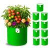 ORGANIC BAZAR 12x12 Grow Bags for Terrace Garden, Premium HDPE ORGANIC BAZAR 12x12 Grow Bags for Terrace Garden, Premium HDPE 260 GSM Green Planters for Vegetables, Flowers, and Indoor Outdoor Plants (Pack of 10)