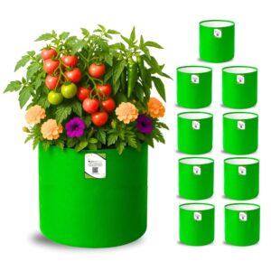 ORGANIC BAZAR 12x12 Grow Bags for Terrace Garden, Premium HDPE 260 GSM Green Planters for Vegetables, Flowers, and Indoor Outdoor Plants (Pack of 10)